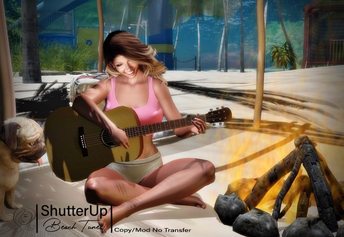 Shutter Up Package -Beach Tunes