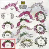 *LODE* Head Accessory - Fireweed  Crown [pink]