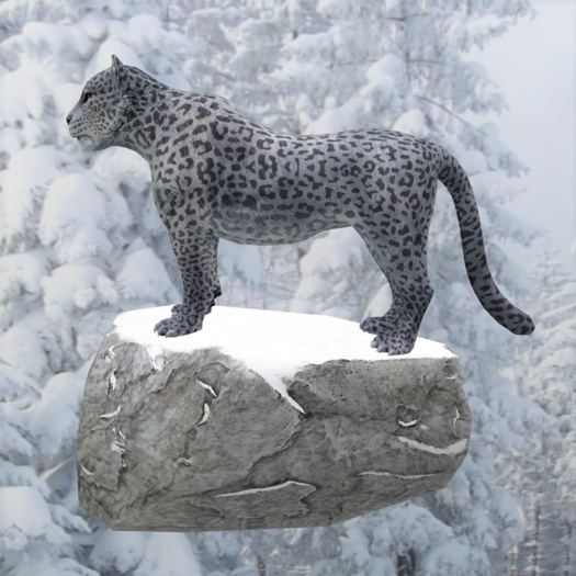 Snow Leopard Tip Jar