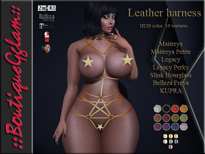 ::BG:: Leather Harness