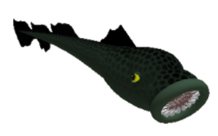 (7S) Uncommon Fish: Green Lamprey