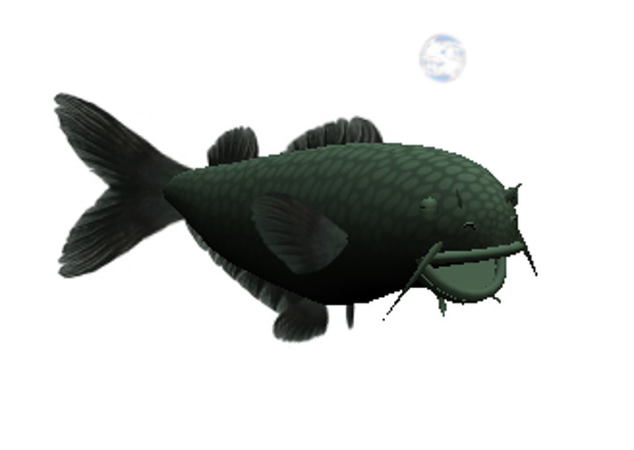 (7S) Uncommon Fish: Green Catfish