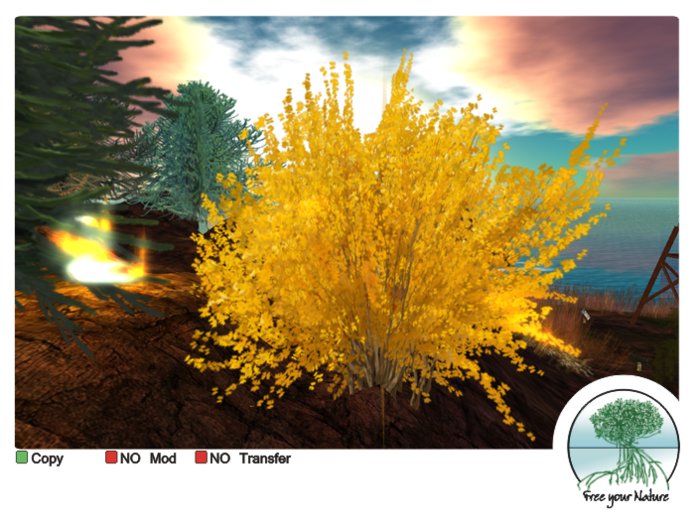  -golden tree-