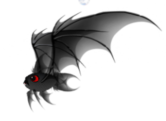 (7S) Uncommon Fish: Batfish