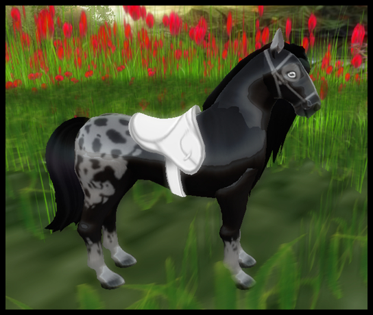 Amaretto Breedable Bundle - Female Black Appaloosa UnicSpirit SaddleWhite