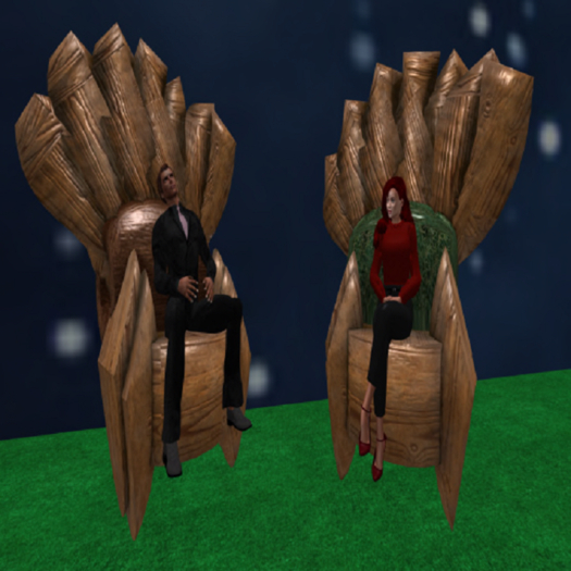 Mesh Wood Chairs