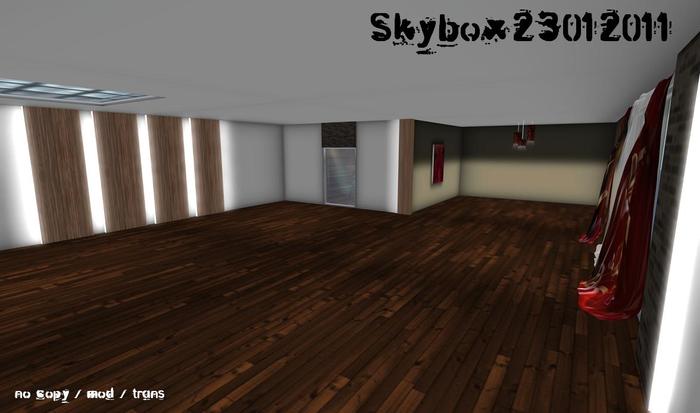Skybox23012011