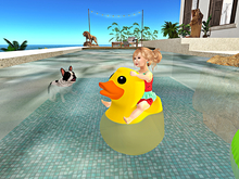 Zara Mesh - Beach - Rubber Duck Floater - FULL PERM MESH
