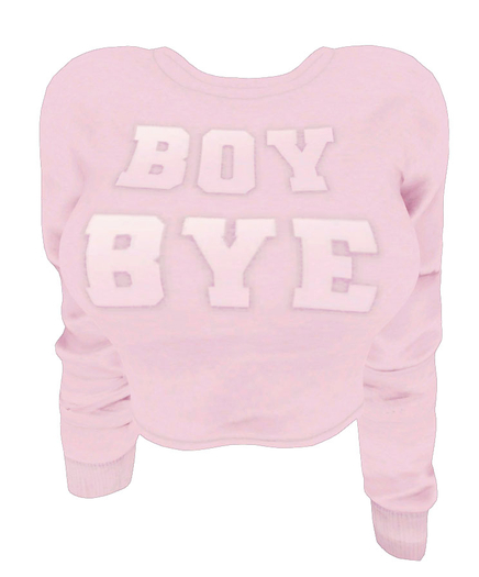 The Annex - Boy Bye Top - Pink