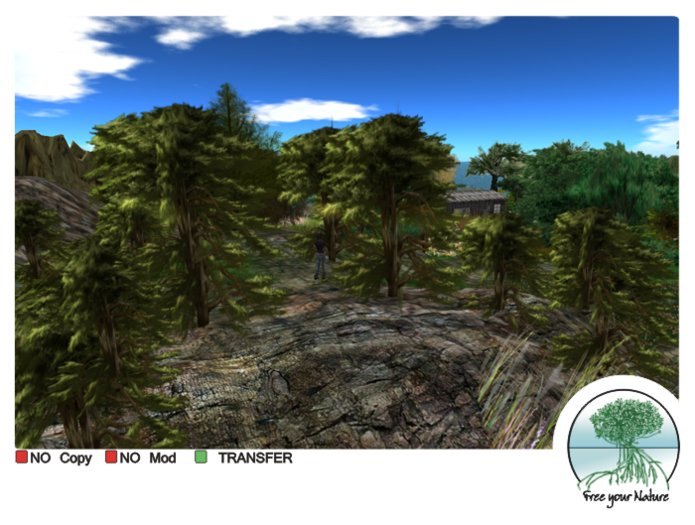  pine forest painted ( trees )