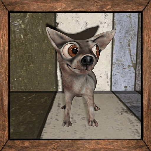 Cica's Dog 6