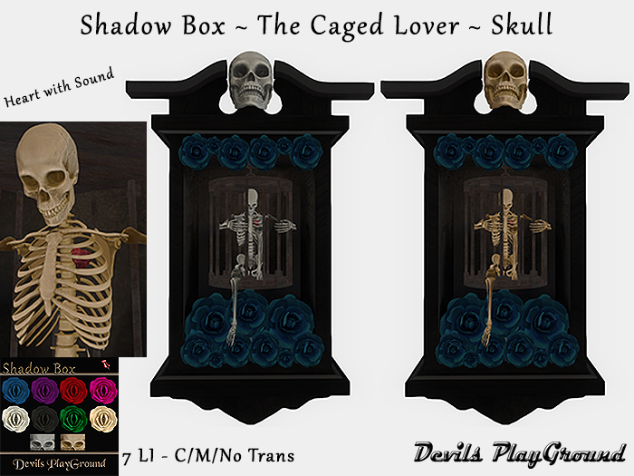 Shadow Box ~ The Caged Lover Skull