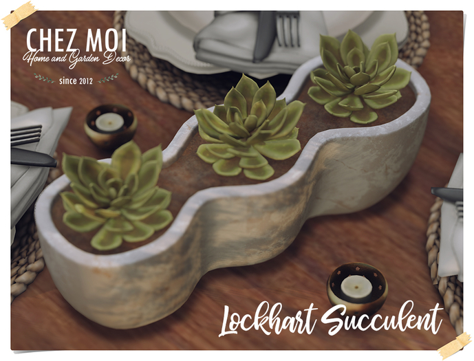 CHEZ MOI ♥ Lockhart Succulent