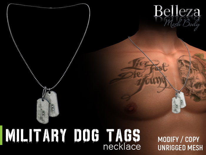 [7/11] Army Military Dog Tags
