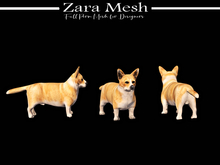 Zara Mesh - Animals - Welsh Corgi Dog - FULL PERM MESH