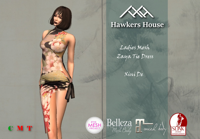 *HH* Ladies Mesh Zaya Tie Dress Xini De