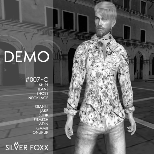 DEMO [SILVER FOXX] #007-C