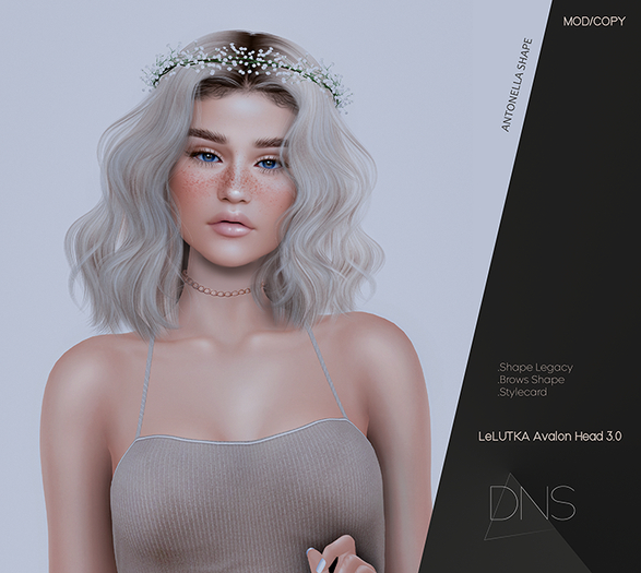 DNS - Antonella Shape & Style card Lelutka Avalon Head 3.0 [Legacy/Maitreya]