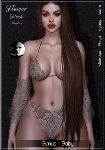 SHAPE  - ALAINE - GENUS BABY