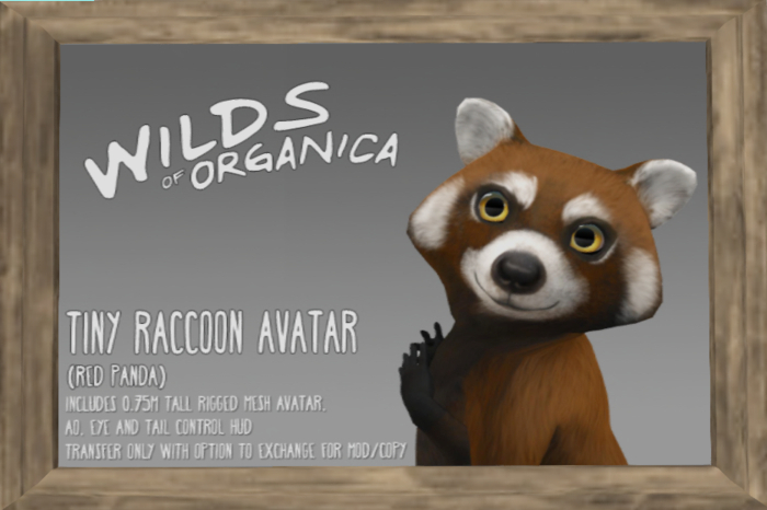 [ WoO ] Tiny Raccoon Tiny (Bengal)(T)