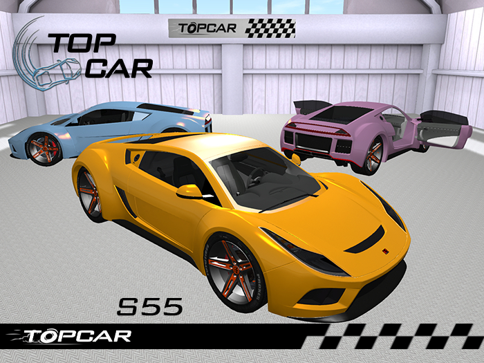 Top Car - S55