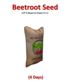DFS Beetroot Seed V2.2 (Texture)