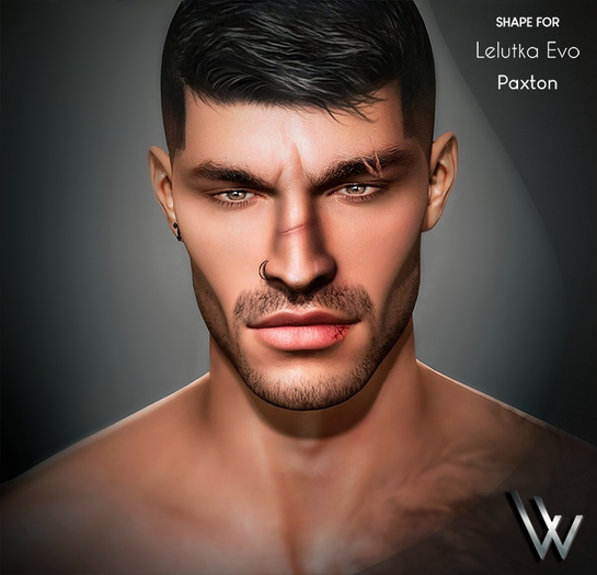 Awaken - Ryo Shape For LeLUTKA  Paxton Head