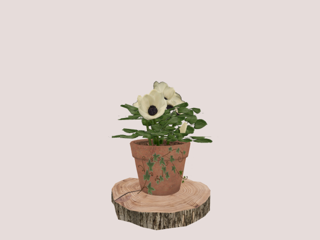 spring in pot 7 textures