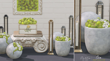 Dahlia - Sia - Moss Collection - FATPACK