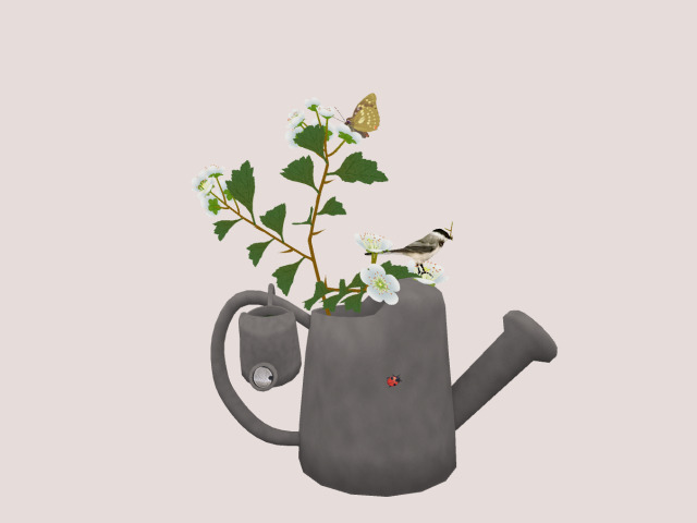 Water can with Flowers