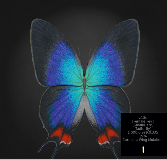{Papillon} Fe/Sma/Dar/Fey/Butterfly/Coronata Cocoon