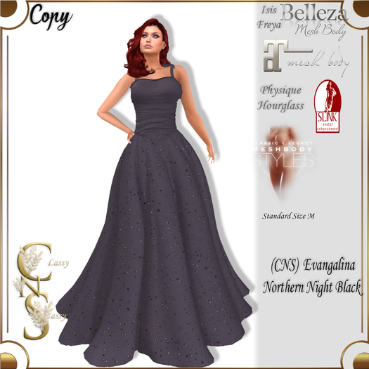 (CNS) Evangalina Gown Polar Night Black