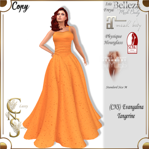 (CNS) Evangalina Gown Orange Orche