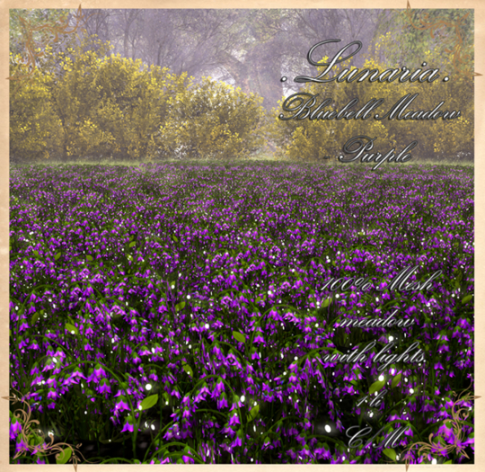 .Lunaria. Bluebell Meadow - Purple 