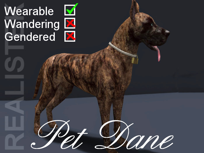 Pet Dog / Animesh Dane / W-- Brindle