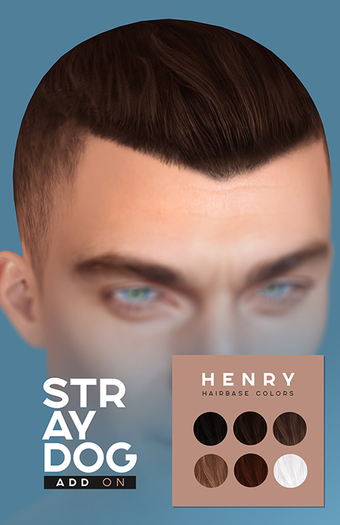 STRAY DOG ADD ON - Henry Hairbase [LELUTKA]