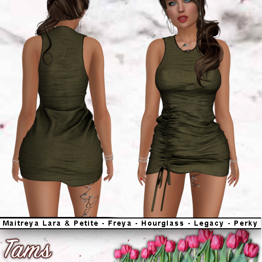 Front Ruched Dress - Celeste
