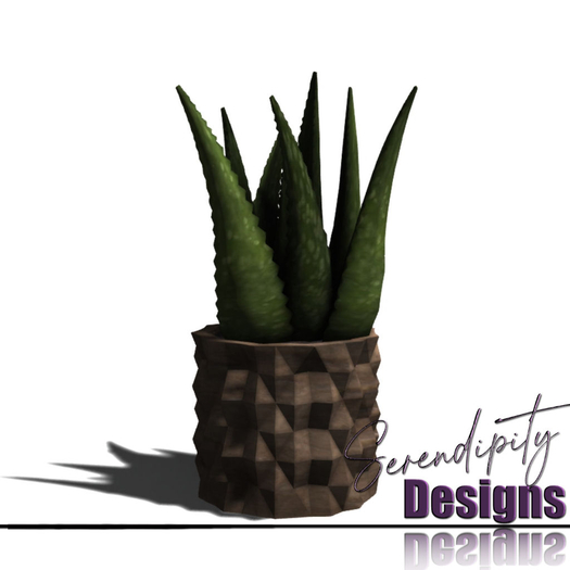 Serendipity Designs - Kalispell Aloe Plant [WEAR ME]