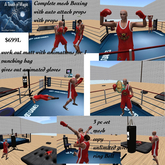 complete Boxing ring ,workout pad,& punch bag-Box