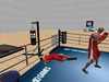 Boxing 010