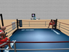 Boxing 007