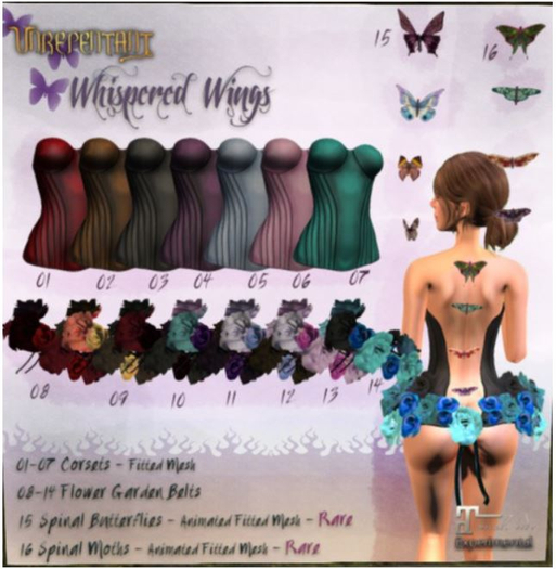 [UN] 16 Whispered Wings Spinal Moths Box RARE