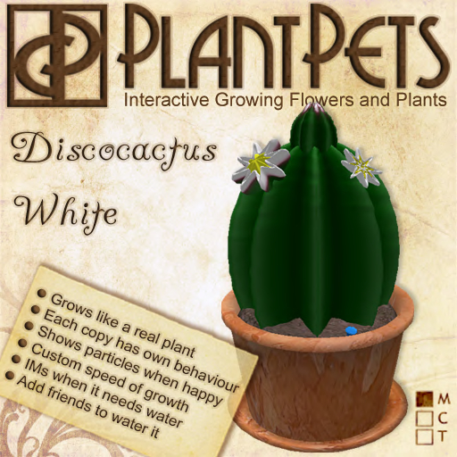 PlantPet Seed [Discocactus *White*]