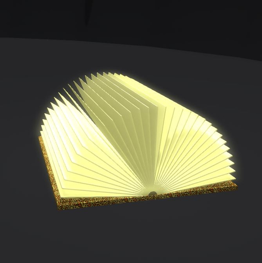 Lamp book 