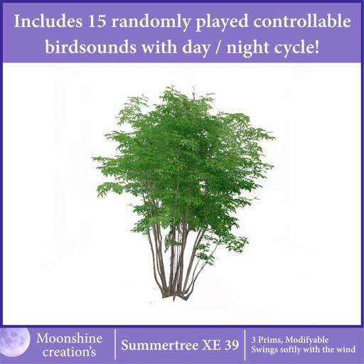 [MC] Summertree XE 39