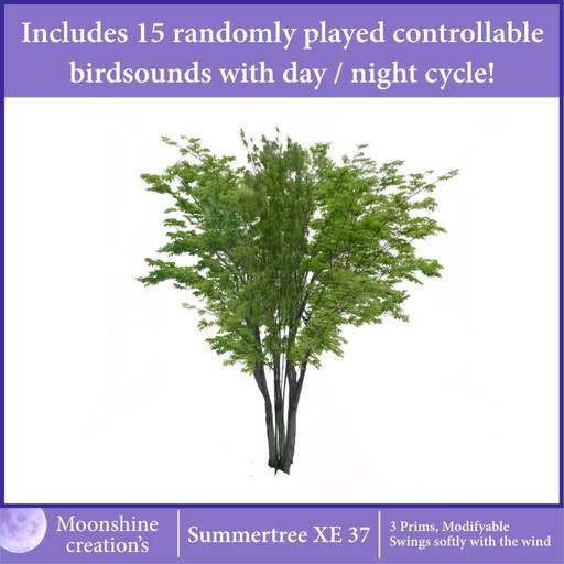 [MC] Summertree XE 37