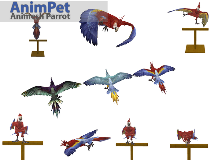 Animpet Animesh Animated Parrot - 3 Textures - SIMPLE POSTION AND TOUCH - Wearable