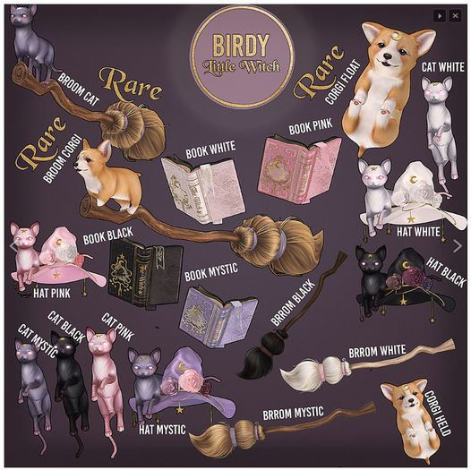 Birdy - Little Witch - Corgi Floaty - RARE