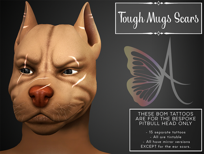 [ .A. ] Tough Mugs Scars