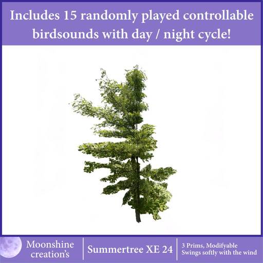 [MC] Summertree XE 24